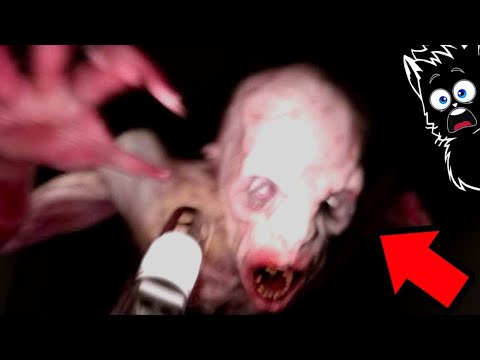 ПЕЩЕРНЫЙ МОНСТР и ДРУГАЯ ШАЛУПЕНЬ СНЯТАЯ НА КАМЕРУ [Черный кот]