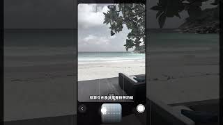 Unveiling Apple's Hidden Camera Color Magic & Photo Editing Tips