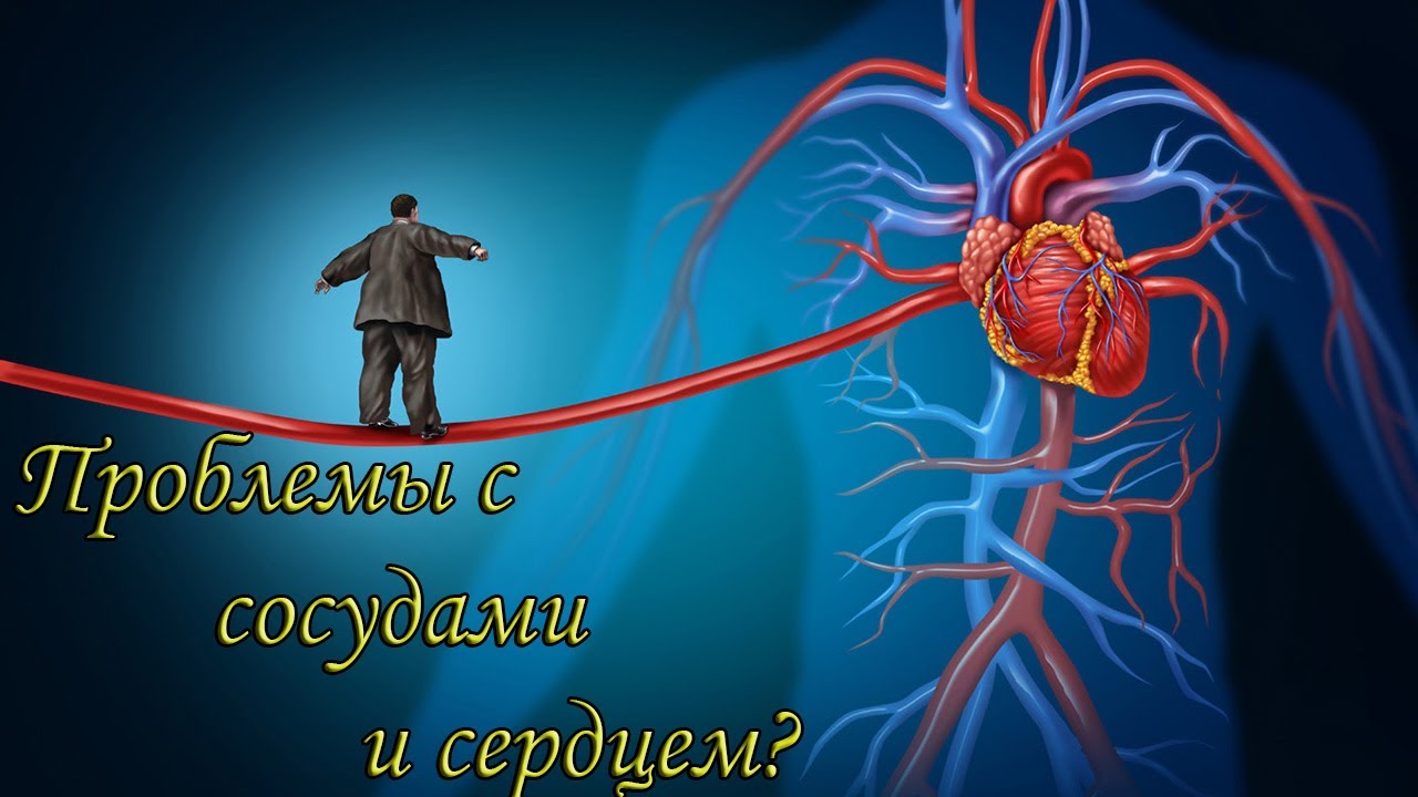 Что будет если в ваших сосудах засел тромб? 13 самых полезных продуктах ...