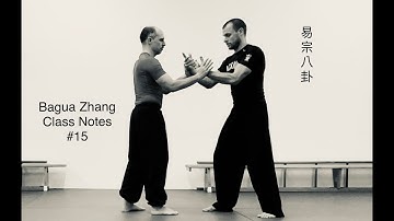 Bagua Zhang - Class Notes #15 // 23. Februar 2022