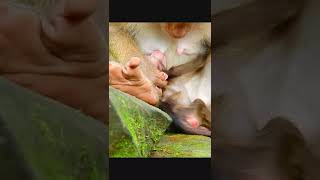 DSCN2002