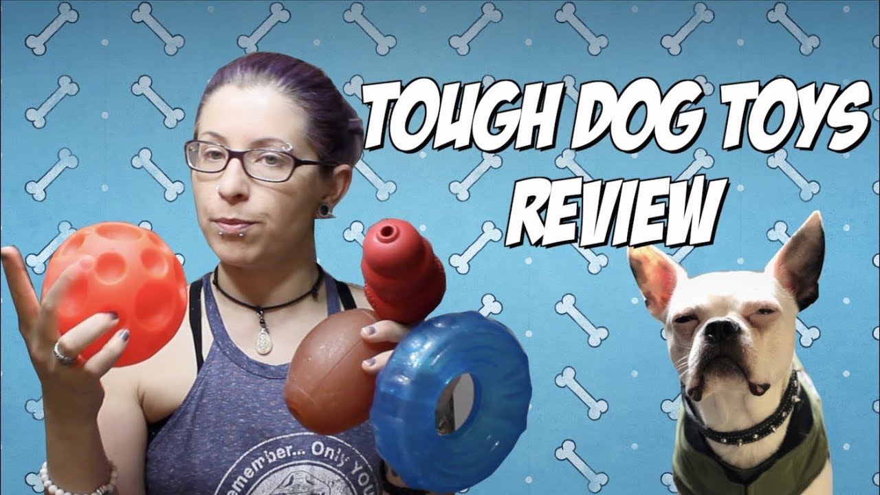 Interactive Dog Toys are IMPORTANT YouTube