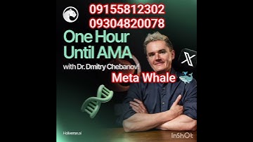 #meta Whale Meta force holiverse #meta Whale
