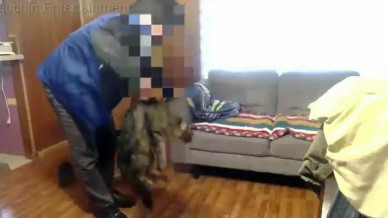 Peluchin Entertainment Mata A Su Gato Video Completo