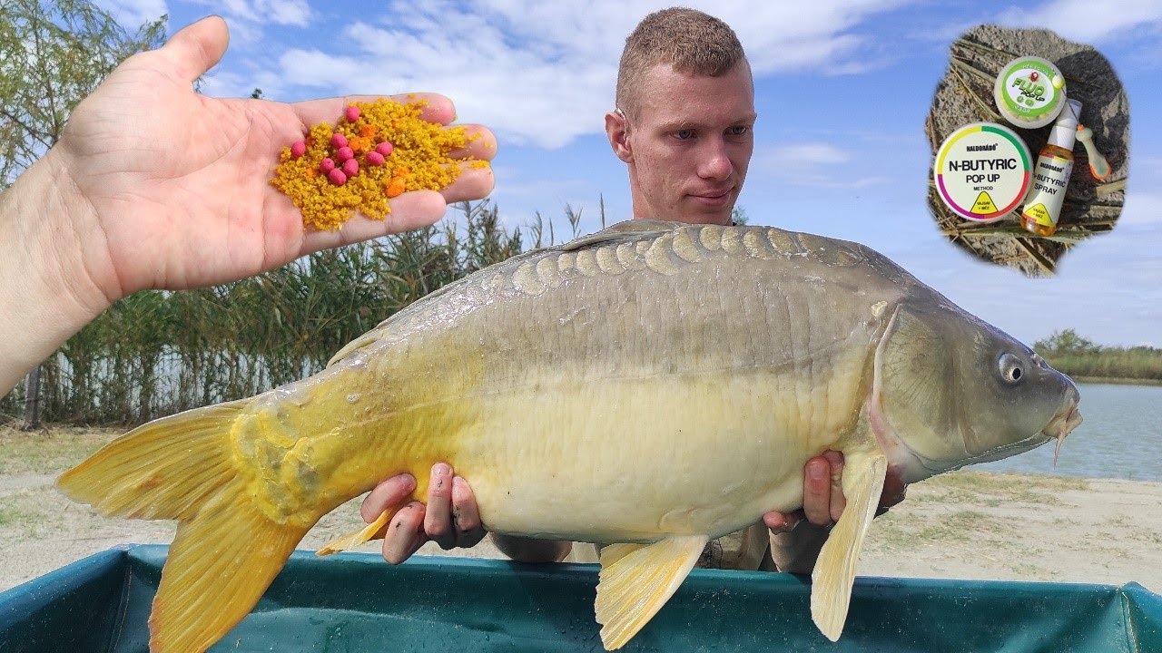 Őszi Horgászat - Az Évszakváltás kihívásai és sikerei