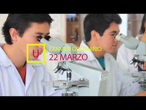 ADMISION 2020 - UNIVERSIDAD NACIONAL INTERCULTURAL DE QUILLABAMBA - HUGO FLORES LAIME