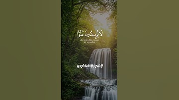 ✨ تلك الدار الآخرة بصوت يزلزل القلوب | تلاوة نادرة تشرح الصدر | الشيخ محمد صديق المنشاوي