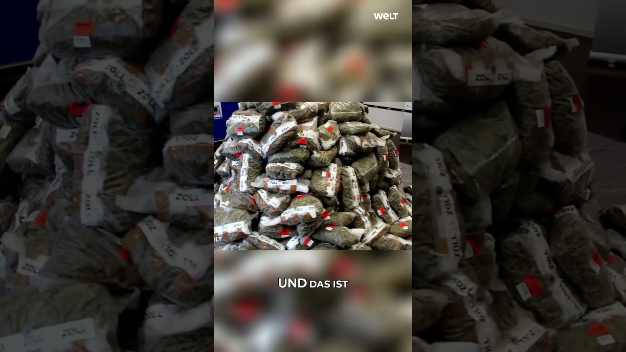 GRÖSSTER DROGENFUND IN DEUTSCHLAND: 500 Kilogramm Marihuana - Spektakulärer Drogenfund im Lkw! 🚢💰