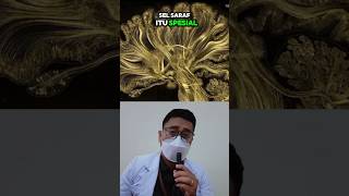 SPECIAL abilities of nerve cells ⁉️😱 #healthfacts #drbimo #uniquefacts