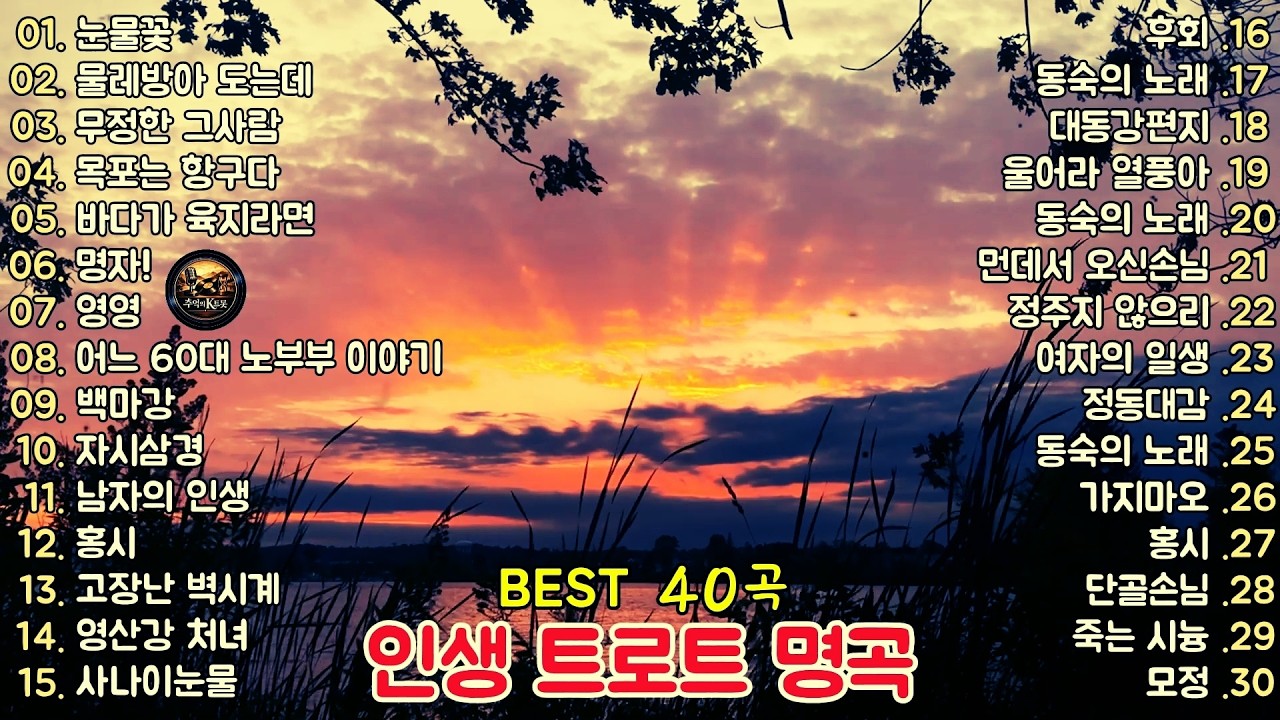 인생 트로트 명곡 BEST 40곡 🎧 홍시 · 동숙의 노래 · 목포는 항구다 · 남자의 인생 외 눈물과 추억을 담은 정통 트로트 연속듣기