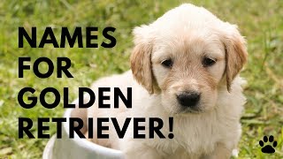 golden retriever names for boys