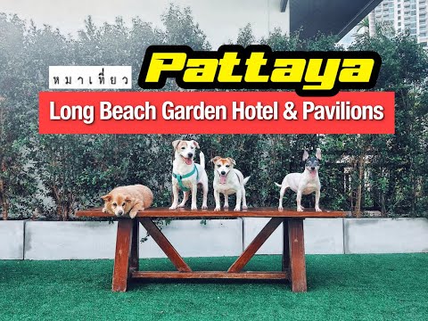 หมาเที่ยว พัทยา Pattaya พักที่ Long Beach Garden Hotel & Pavilions
