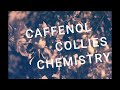 My Big Super 8 Project Part 5 Apples Collies Process Refinements Test Strips mp3