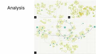 Famous Palette, Purpose, Prototype: The Three Ps of Color Design and How Designers Navigate Them Wealth