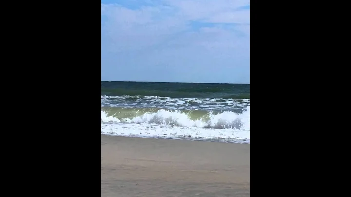 Garden city beach 2015