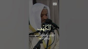 تلاوة من سورة الكهف - الشيخ مشاري العفاسي 1424