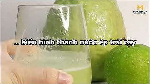 Hoàn thành lắp ráp dây chuyền nước ép ổi organic - Machinex Việt Nam