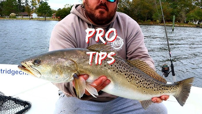 HOW TO CATCH TROPHY SPECKLED TROUT EASY + Nonstop Sea trout