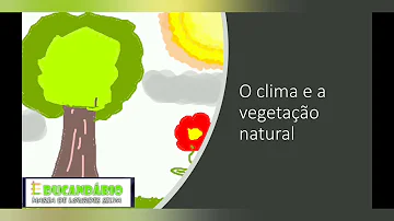 Quais as características da vegetação brasileira?