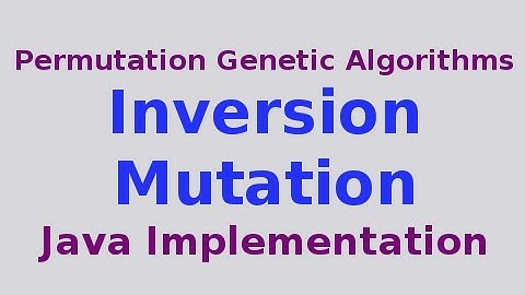 Genetic Algorithms 24/30: Inversion Mutation with Java Implementation