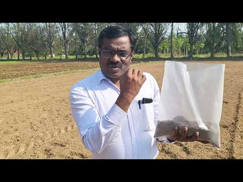 மண் சேகரிப்பு மற்றும் பரிசோதனை | Soil Sampling & Testing | KVK Virinjiouram | TNAU | Vellore