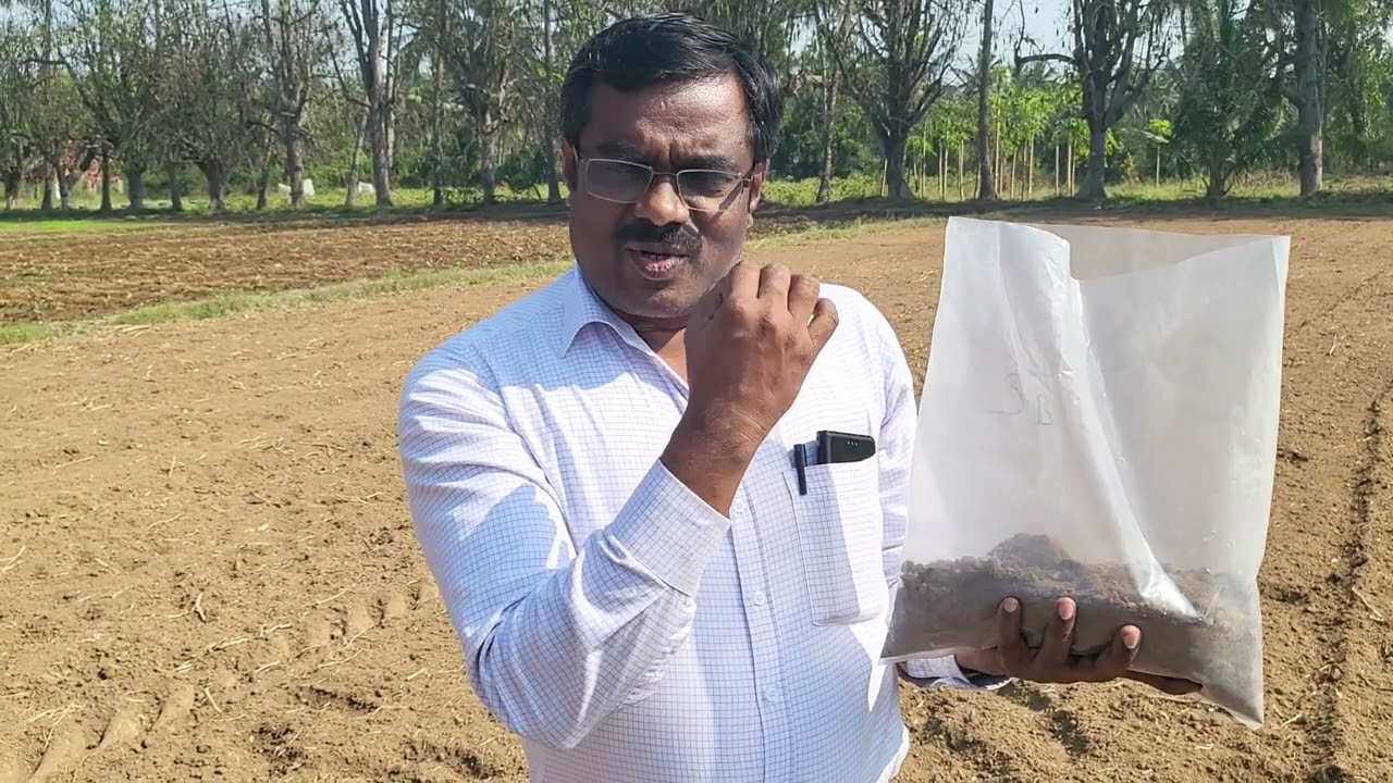 மண் சேகரிப்பு மற்றும் பரிசோதனை | Soil Sampling & Testing | KVK Virinjiouram | TNAU | Vellore