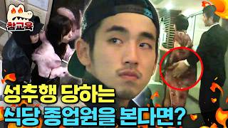 본격! 범죄 현장 참교육하는 시민들 영상 내가 추행 당하는 피해자를 목격한다면?