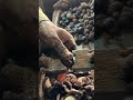 Inside Our Cashew Factory 🔥