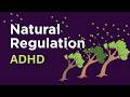 ADHD DISTRACTION REDUCER Blustering & Whistling Wind for ADHD Focus, Sleep & Anxiety Relief