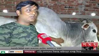 Meghdubi Agro 4 New Kurbanir Goru Collection 2018 21 Hagar Khamary 2,11000 Hagar Goru Palon Koracan