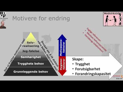 Organisasjonsutvikling del 1,  med fokus på endringsprosesser