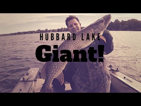 GIANT Hubbard Lake PIKE!! 