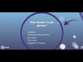 Options 101 - Basic