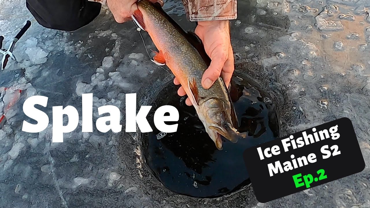 Splake  Ice Fishing Maine 2021 Ep.2 