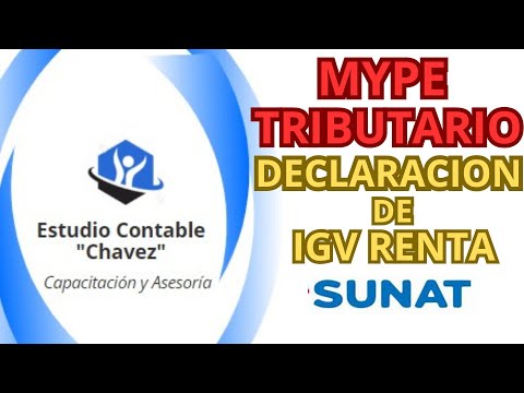 DECLARACION DE IGV