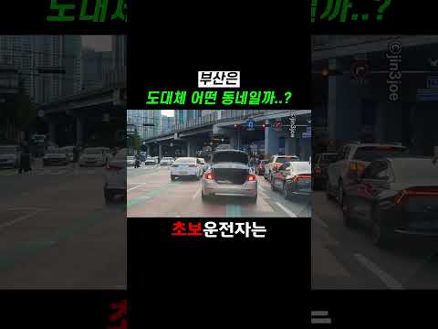 부산은 도대체 어떤 동네일까..? thumbnail