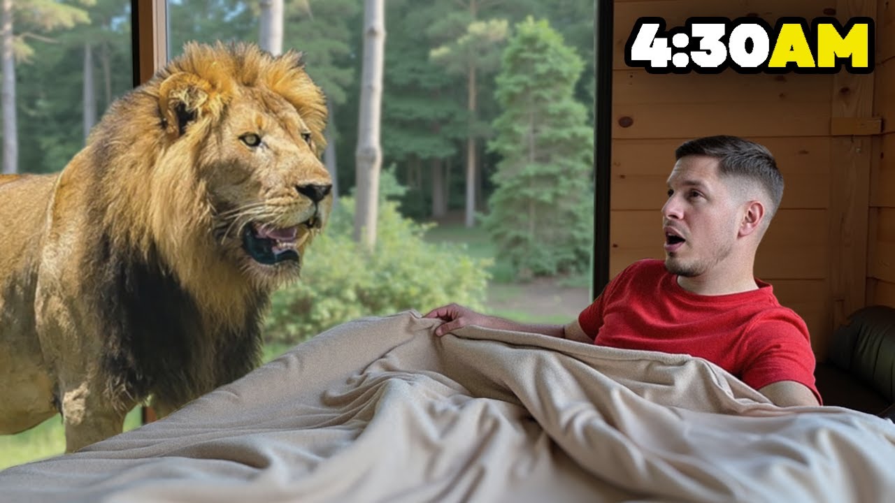 I slept with LIONS (crazy experience)