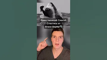 Единственный способ спастись от АКУЛЫ #shorts