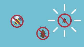 Pest Control Blacktown - ABC Pest Control Sydney