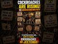CJP: The Cockroach Revolution Cockroach Janta Party#cjp#cockroachjantaparty#india #corruption #new