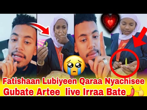 Fatishaan Lubbiyee Qaraa Nyachisee Gubatee Artee Live Irraa Bate