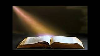 The Holy Bible: Book Of 2 Thessalonians (NIV)