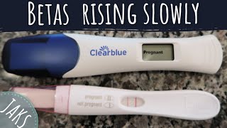 Betas NOT Doubling after Fertility Treatment | Betas #1-3 | Pregnancy Journey [CC]