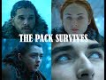 Jon sansa arya  bran  the pack survives