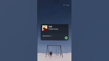 Thumbnail of Co2 by Prateek Kuhad