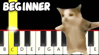 Happy Happy Happy Cat Song Meme - Fast and Slow (Easy) Piano Tutorial - Beginner