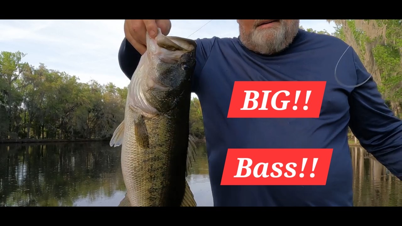 Pond Fishing Battle! Breydon Catches His BIGGEST BASS EVER!
