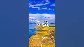 وَإِذْ قَالَتْ الْمَلَائِكَةُ يَا مَرْيَمُ 💙⚘️حالات واتس أب قرآن كريم بصوت جميل Quran ⚘️ ♥️