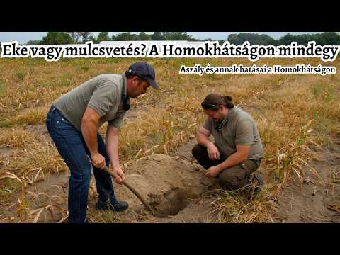Szántás vagy forgatás