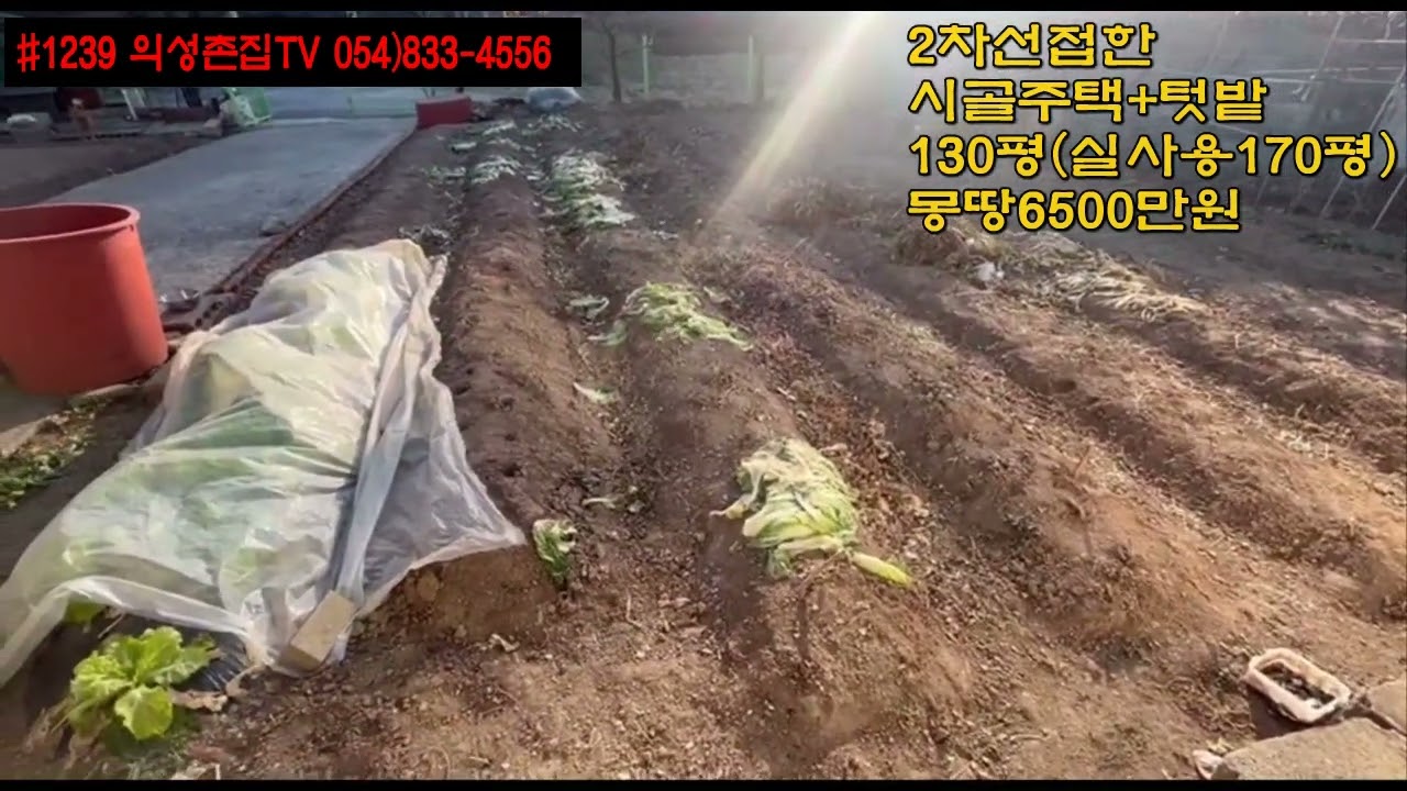 #1239 의성촌집TV 2차선접한 탁트인 남향뷰 건창고 텃밭50평 올수리 (아궁이 황토방) 130평 (실사용170평 국유지 더사용) 합6500만원 상태좋은 전원주택생활 #의성귀촌